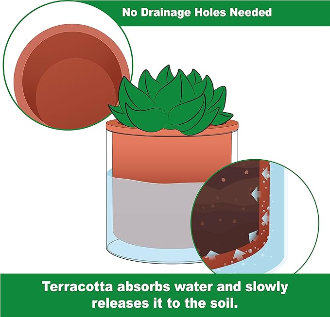 Phoenix Vine 4 Inch 6 Inch Self Watering Plants Pots, Design Terracotta Pots for Plants, Indoor Cylinder Terra Cotta Planter with Glass Vase Set, 51-A-G-46 Phoenix+Vine
