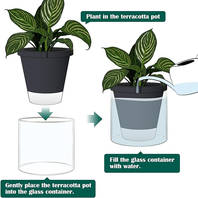 D'vine Dev 10 Inch Design Self Watering Planter for Indoor Plants, Black Terracotta Pot with Cylinder Glass Cup, 37-X-D-3 DvineDevPlanterPotsandStand