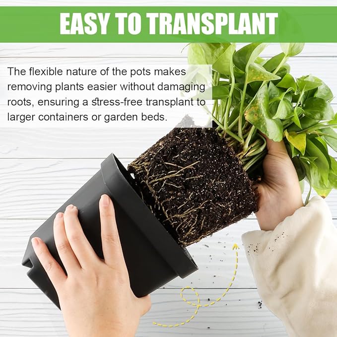 Square Nursery Pots 5.5 Inch, Plastic Plant Pot with Drainage Holes, 30 Pcs Reusable Seedling Starter Pots Garden Flower Pots Planters for Indoor Plants, Transplanting, Succulents, Cuttings RooTrimmer