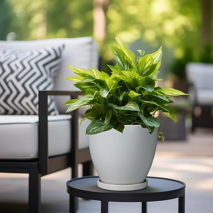 Ceramic Pots for Plants - 8 Inch Planter, Indoor Plant Pot with Drainage Hole and Saucers, Modern Flower Planters, Home Garden Patio Bathroom Porch Room Decor, Gray EPFamily