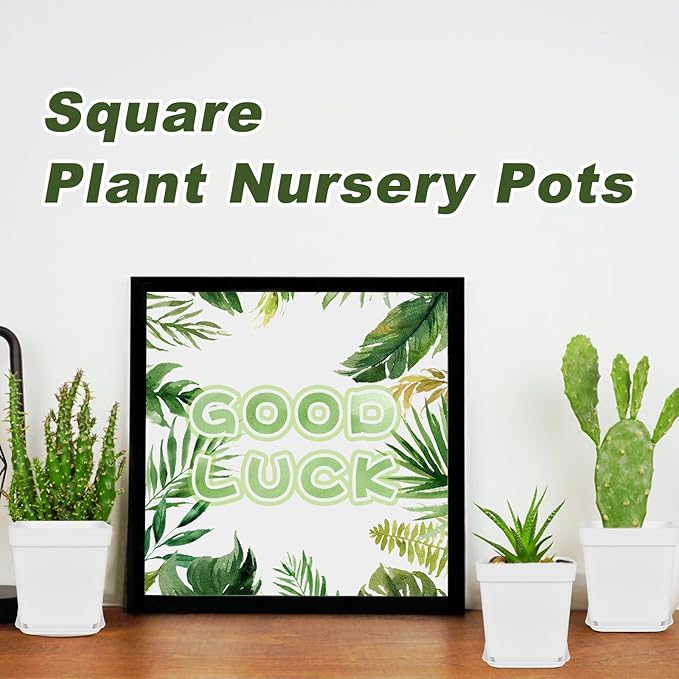 Anyumocz 24Pcs 3" Square Plastic Plant Pots,White Nursery Pots with Saucers,Seedling Nursery Transplanting Planter Container for Plants,Garden,Flower,Home,Office,Balcony Decor,Indoor,Outdoor Anyumocz