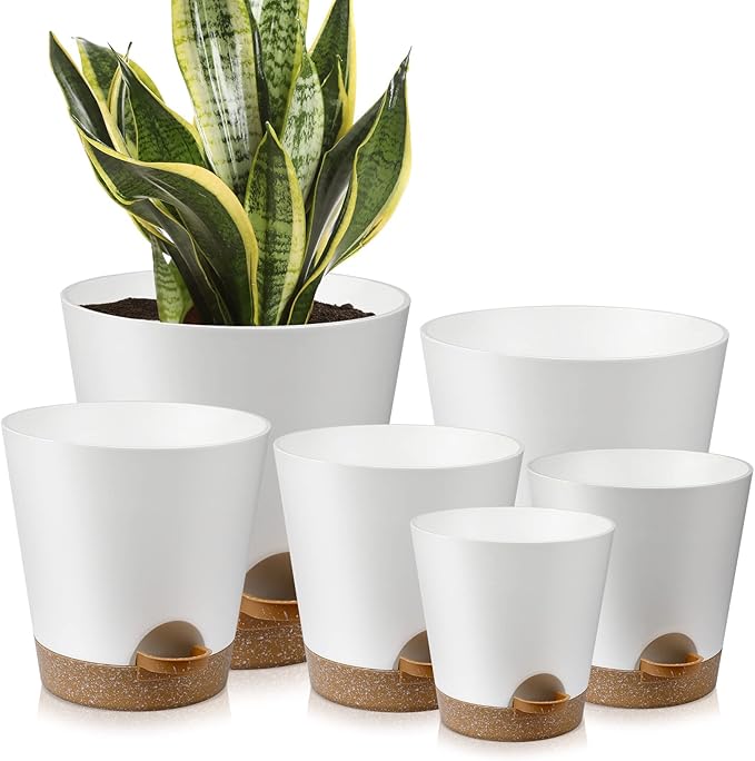 Indoor Self Watering Planters with Drainage Holes and Saucers, 8, 7, 6.5, 6, 5.5, 5 Inches, White, 6 Pots AFamilyofGardenLovers