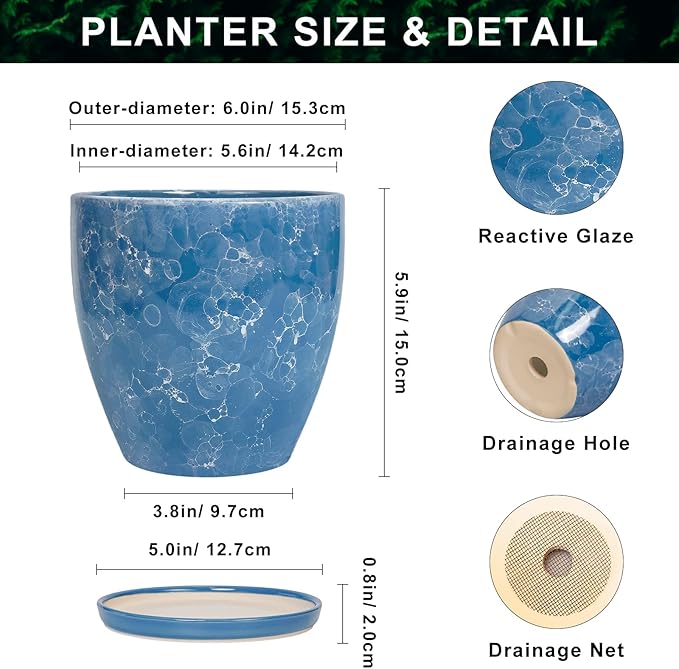 6 Inch Ceramic Plant Pot - Ceramic Planters with Drainage Hole and Saucer, Round Decorative Planter, Modern Planters for Indoor Outdoor Plants, Desk Office Decor, Housewarming Gifts, Blue EPFamily