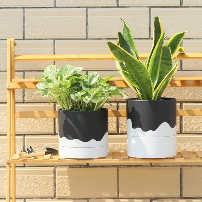 Nihow Self Watering Plant Pot: 6 Inch Ceramic Planter with Drainage Hole & Water Storage Plus for Indoor & Outdoor Plants - Cylinder Round Flower Pot for Succulent/Herbs/Violets - Black & Wave White Nihow