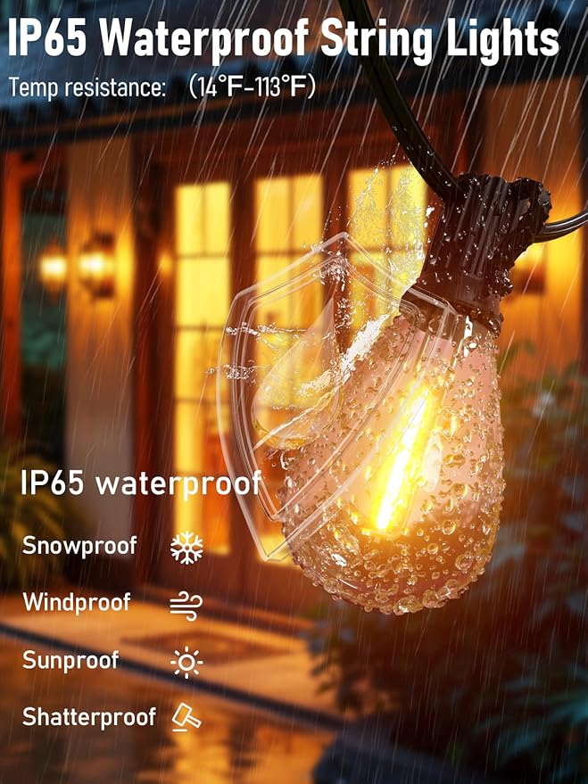luckystyle 30FT LED Outdoor String Lights with Remote, 10+ 1 Shatterproof Bulbs Waterproof and Dimmable Patio Lights for Porch, Garden, Backyard, Deck, Balcony, 2200K Hanging Lighting luckystyle