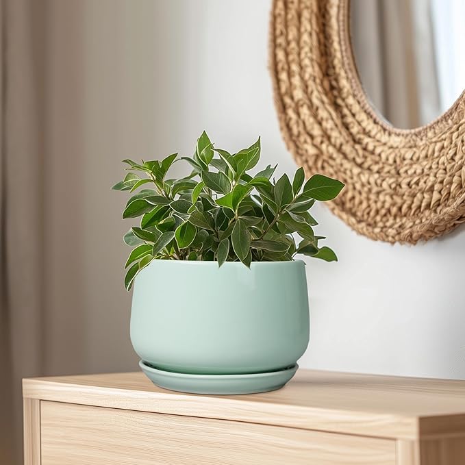 G EPGardening Ceramic Pots for Plants - 9 Inch Ceramic Planter with Drainage and Saucer, Round Planter for Indoor Outdoor Plants, Modern Flower Pots, Garden Decor, Birthday Gifts, Green GEPGardening