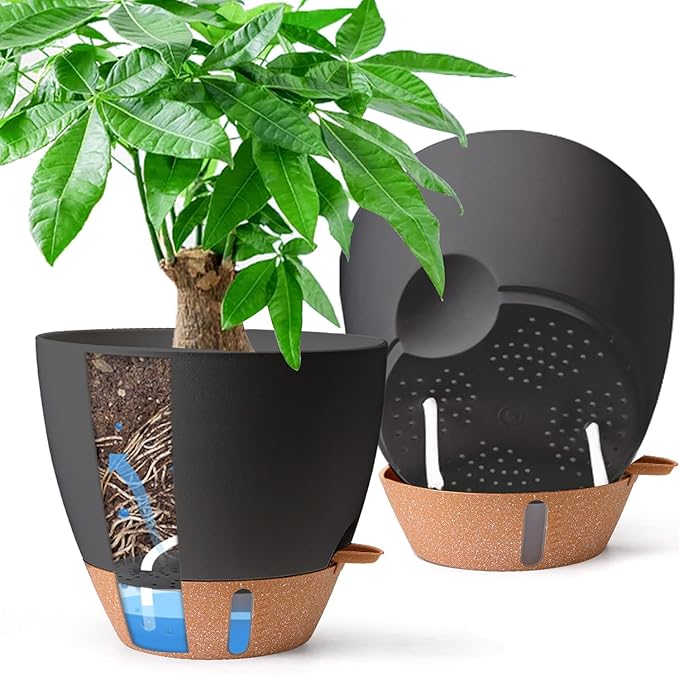 2 Pack 10 Inch Self Watering Pots - Water Level Indicator & Deep Reservoir, Mess-Free Planter for Busy People, Beginners & Gardeners, Fiddle Leaf Fig, Monstera, ZZ Plants, Indoor Outdoor Use (Black) T4U