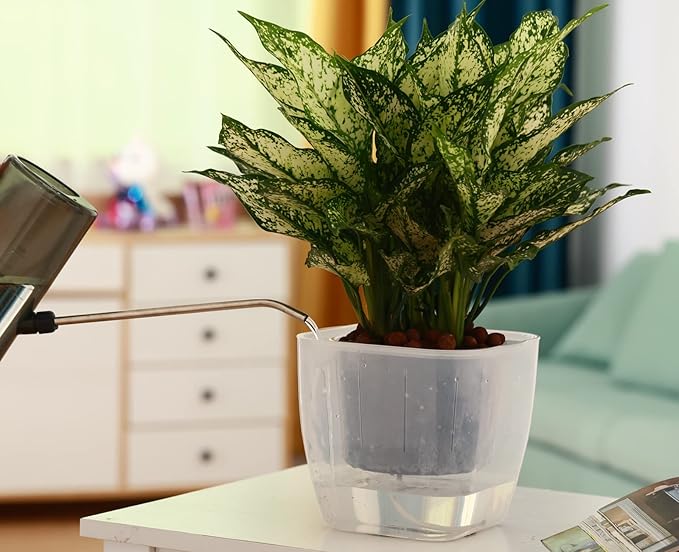 6-Pack 7 Inches Clear Self Watering Planters for Indoor Plants Large African Violet Plant Pots Plastic Wick Flower Pots with Water Injection Hole, Orchid Plant Pot Set, Clear Planterhoma