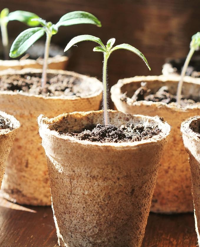 homenote Peat Pots, 120 Pcs 3.15 Inch Seed Starting Pots with Drainage Holes Round Nursery Plants Pots with Bonus 20 Plant Labels HOMENOTE