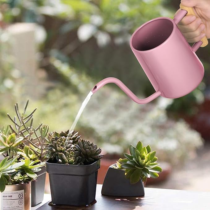 Watering Can Indoor Plants, 35 oz/1000 ml Metal Stainless Steel Watering Can Pot with Long Spout for Indoor House Plants Bonsai Outdoor Garden Flower Decorative (Pink) Rootora
