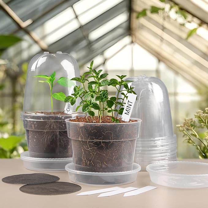 BTPLASTIK 6 Inch Clear Nursery Pots with Humidity Domes 15 Pack, Transparent Plastic Plant Pot with Drainage Holes and Saucers, Seed Starter Pots with 15 Pcs Plant Labels and 15 Pcs Soil Screens BTPLASTIK