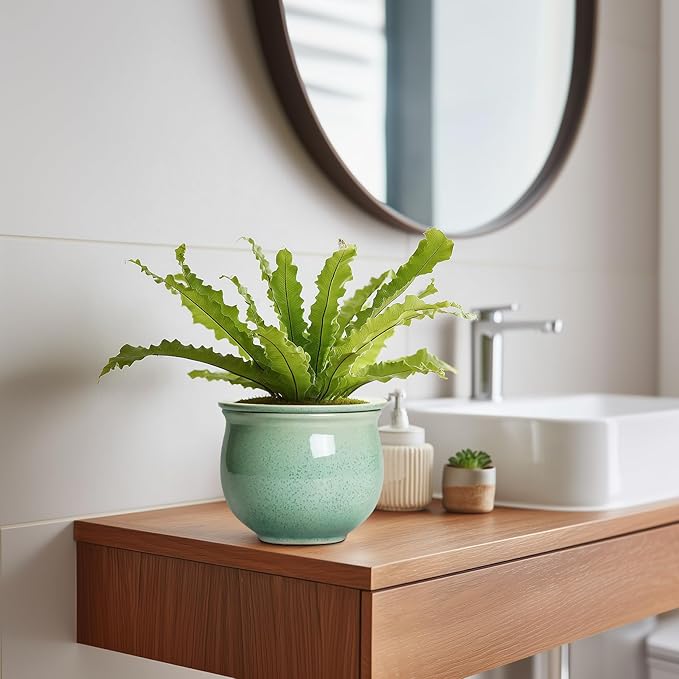 Ceramic Self Watering Pots, 6 Inch African Violet Pots with Absorbent Inner Pot, Round Self Watering Planter for Indoor Plants, Ceramic Pot for Plants, House Decor, Gifts for Women Men, Green Teagas
