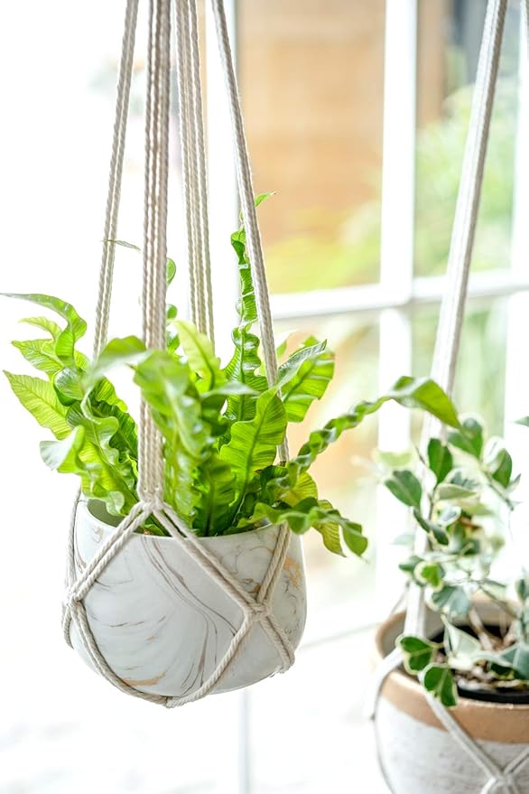 Dahey Macrame Plant Hanger Set of 3 with Hooks Indoor Hanging Planter Basket 35"/29"/23" Handmade Woven Cotton Rope Flower Pot Crochet Plant Holder Stand for Boho Home Decor No Tassels,Beige Dahey