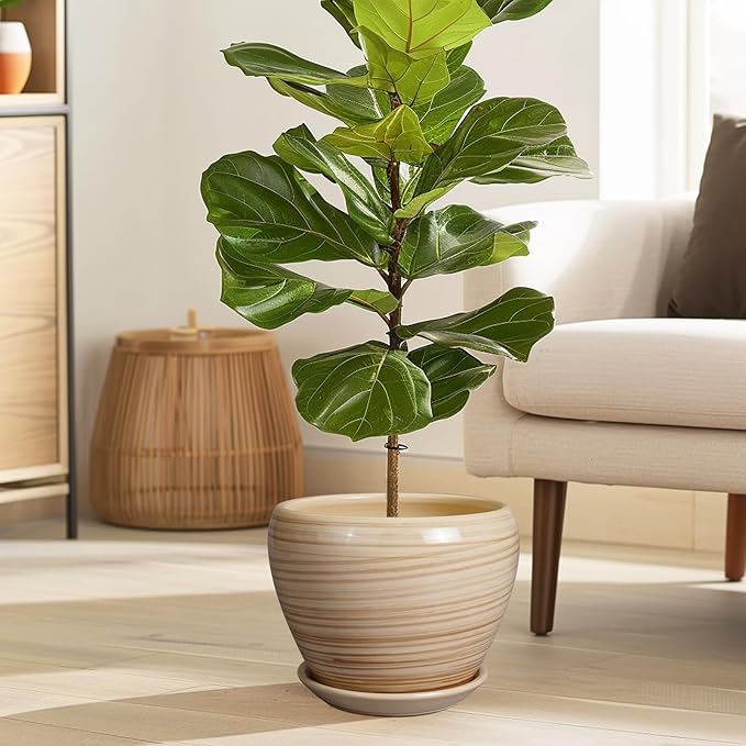 Planter 8 Inch - Indoor/Outdoor Ceramic Plant Pot With Drainage Hole and Saucer, Round Modern Flower Planter for Succulents, House, Patio - Yellow Ceramicfor