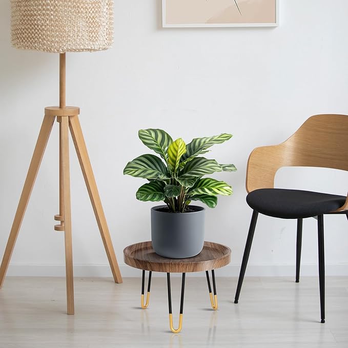 Plant Stand Indoor Outdoor, Mid Century Style Walnut Wood Color Plant Stand,Waterproof Design Modern Plant Table,Easily Assemble Come With Tools,Nice For Room Decor (L) Welcometoobtain