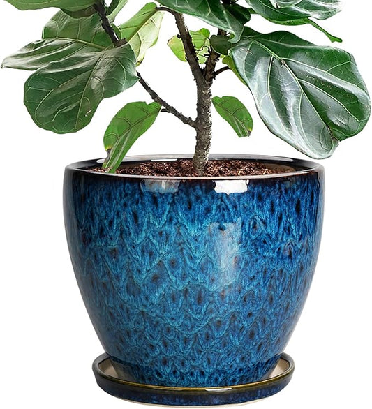 10 Inch Ceramic Planter Pot Round Plant Pot for Indoor Plants Outdoor Large Flower Pot with Drainage Hole and Saucer Blue EPFamily