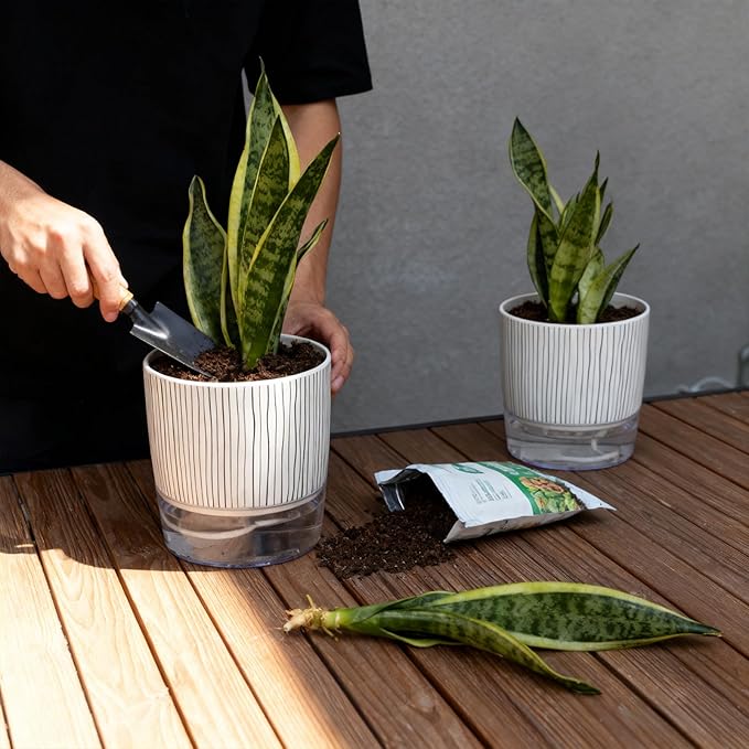 3 Pack Self Watering Pots Set, 5.5 Inch Self Watering Pots for Indoor Plants, Planter Pot with Wick Rope and Reservoir for African Violet, Spider Plant, Orchid Rootora