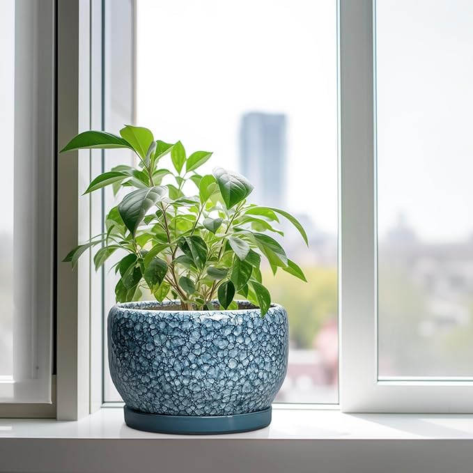 SQOWL Ceramic Planter - 10 Inch Plant Pot Indoor with Drainage Hole and Saucer, Decorative Flower Pots Outdoor, Ceramic Plant Pots, Large Round Planter, Home Patio Decor, House Warming Gifts, Blue SQOWL