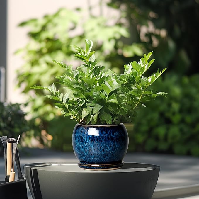 SQOWL 6 Inch Plant Pot - Ceramic Planter Pot with Drainage Hole and Saucer, Succulent Pot Round Flower Pot for Indoor Plants Outdoor, Blue SQOWL