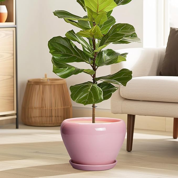 Ceramic Modern Glaze Succulent Planter Pot with Drainage Hole and Saucer 8 Inch Round Flower Plant Pot for Indoor Outdoor Herb Snake Plants, Pink Ceramicfor