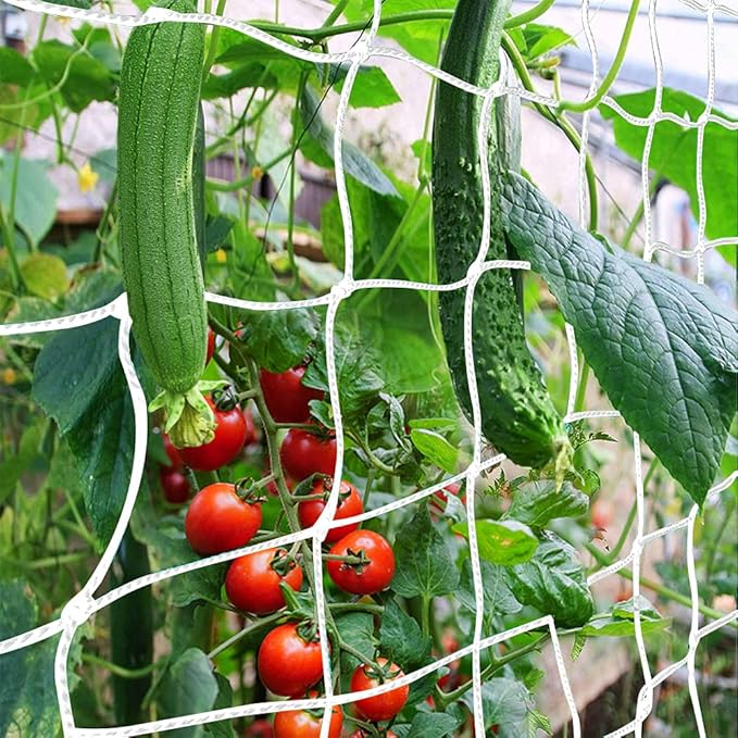 Trellis Netting, CANAGROW Heavy-Duty Garden Plant Trellis Netting for Climbing Plants, Outdoor Indoor Grow Net for Beans Tomatoes Peas Pumpkin Flowers, 6x15ft, 1 Pack CANAGROW