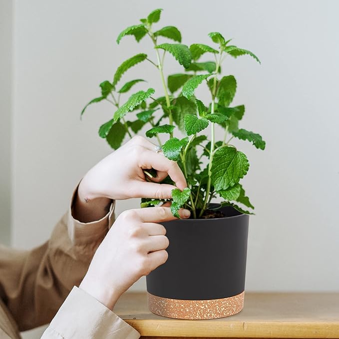 QCQHDU 5 inch Plant Pot, 2 Pack Planters for Indoor Plants with Drainage Holes & Saucer, Outdoor Flower Pots Home Garden Modern Decor QCQHDU