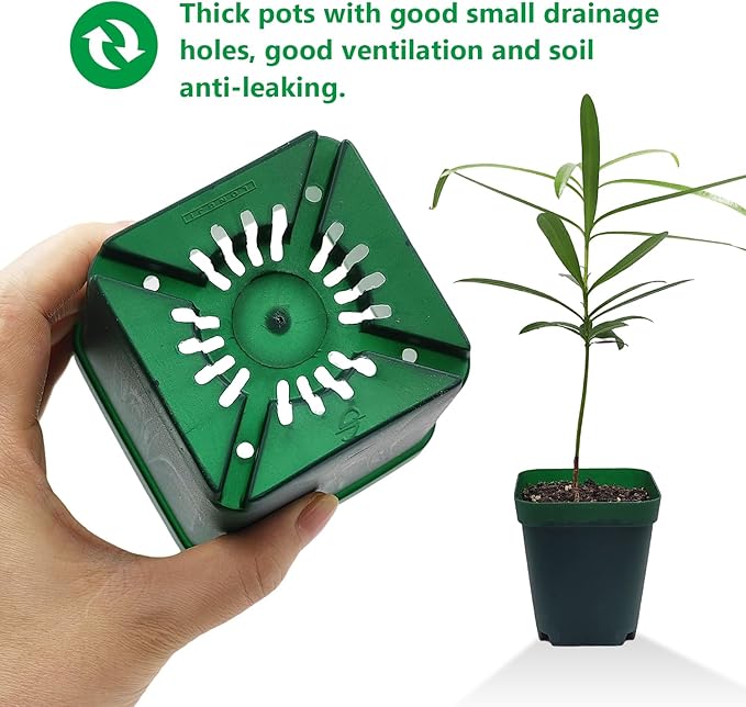 Square Nursery Seedling Pot 3.5 Inches 90 Pcs, Small Nursery Pot Plastic Thick and Sturdy Seed Start Germination Pot for Plant Propagation and Seeding(Green,3.54 Inches, 90Pcs) RooTrimmer