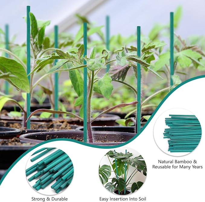 Bamboo Plant Stakes 50PCS, 18Inch Natural Bamboo Garden Stakes, Supports Indoor & Outdoor Plants, Straight Style, Green HAINANSTRY