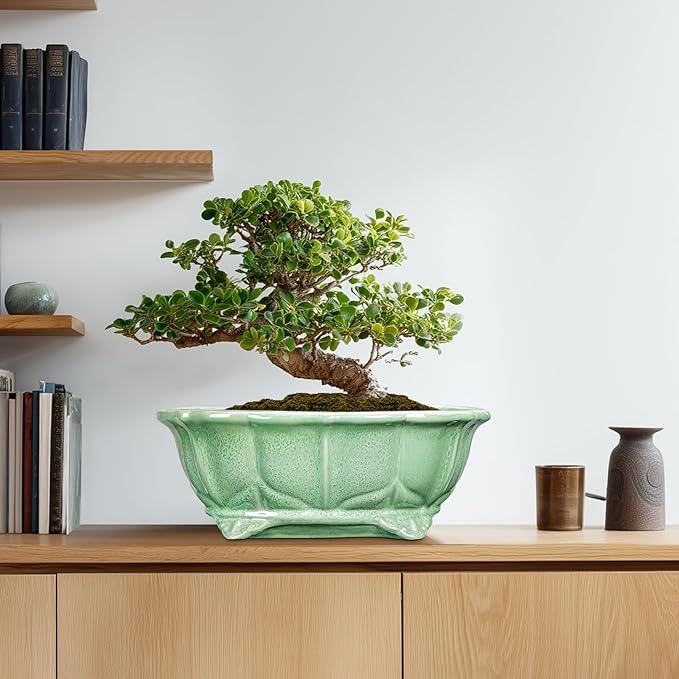 Bonsai Tree Pot - 13.2 Inch Large Ceramic Succulent Planter for Indoor Outdoor, Oval Plant Pot with Drainage Hole, Decorative Flower Pots, Home Decor, Gifts for Plant Lovers, Green Teagas