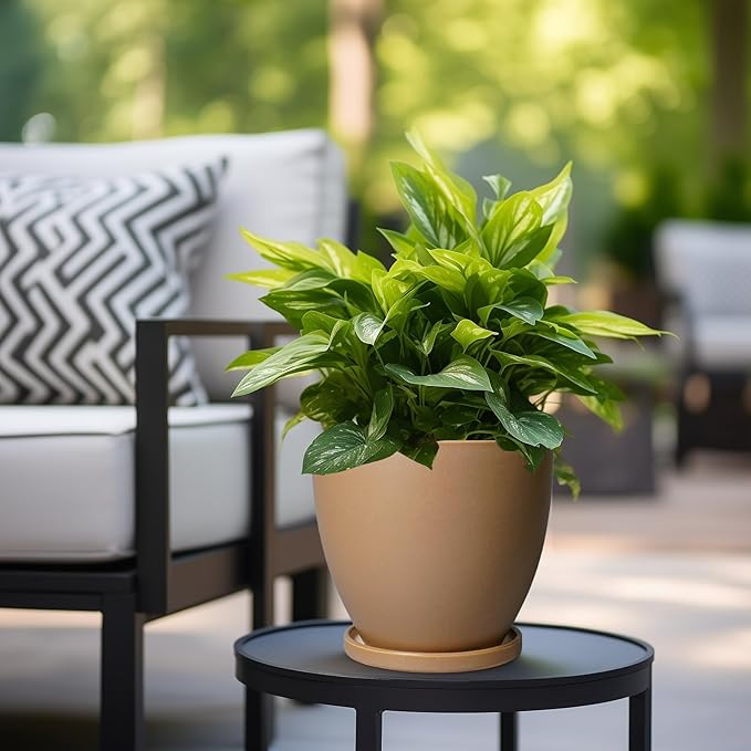 Ceramic Pots for Plants - 8 Inch Planter, Indoor Plant Pot with Drainage Hole and Saucers, Modern Flower Planter, Home Garden Patio Bathroom Porch Room Decor, Brown EPFamily