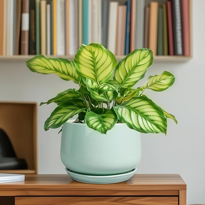 G EPGardening Ceramic Plant Pots - 6 Inch Pot for Plants, Ceramic Planter with Drainage and Saucer, Flower Indoor Outdoor Planter, Modern Bathroom Decor, Birthday Gifts, Green GEPGardening