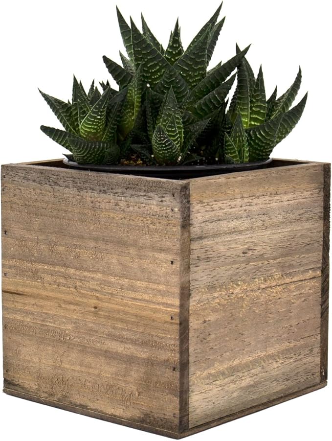 CYS EXCEL Cube Planter Box with Removable Plastic Liner (5"x5"x5")(4 PCS) | Multiple Size Choices Wood Square Planter | Indoor Decorative Window Box CYSEXCEL%C2%AE