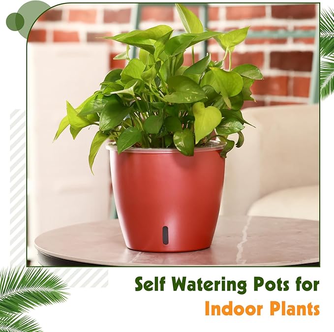 Self Watering Pots for Indoor Plants, 6-Pack 5'' Self Watering Planter with Drainage Holes, Small African Violet Pots with Water Indicator, Clear Wick Orchid Pot, Rose Gold KvyusFlourish