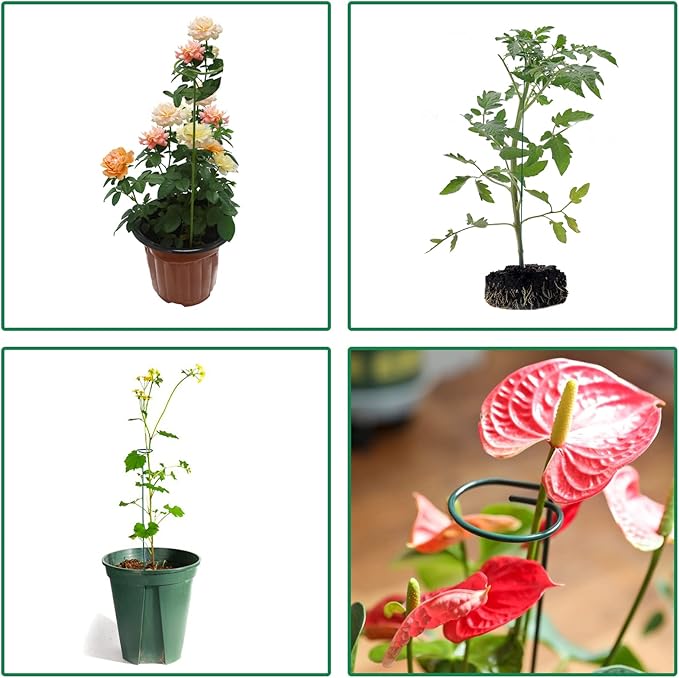 4 Pack Plant Stakes,Plant Support Stakes for Two Sizes(16 or 32 Inches),Plant Stakes for Outdoor Plants,Garden Flower,Tomato(Green) PFNRTH
