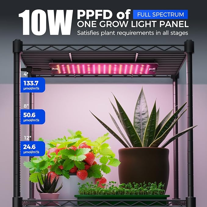 Barrina CX83Z Indoor Greenhouse with Grow Light, 4-Tier Corner Plant Stand, 30W Full Spectrum Growing Light Panels, Mini Greenhouse with Tent for Seed Starting, 3/6/12h Timer, 15.7 x 11.8 x 59.1IN Barrina