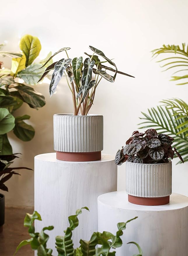 LE TAUCI Ceramic Pots for Plants, 8+6.7+5.5 Inch Plant Pots Indoor, Flower Pot with Drainage Holes, Medium Cylinder Planters for Indoor House Plants, Set of 3, Reactive Glaze White LETAUCI