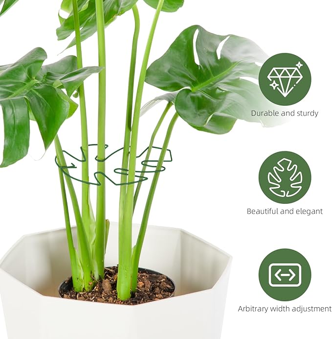 10PCS Iron Monstera Plant Support, Uniquely Designed Indoor Plant Accessories, Stable Plant Support Stakes for Indoor Plant, Turtle Shell Bamboo Clamp Set for Thriving Growth Rootora