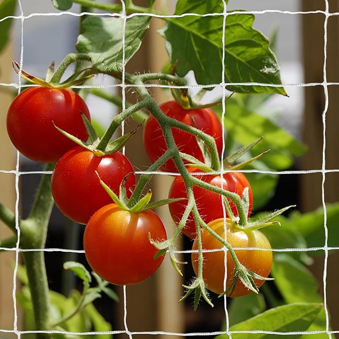 Tcamp Garden Trellis Netting for Plants (5Ft x15Ft, 3.5" Square Mesh Ployester, 2Pack) Tcamp