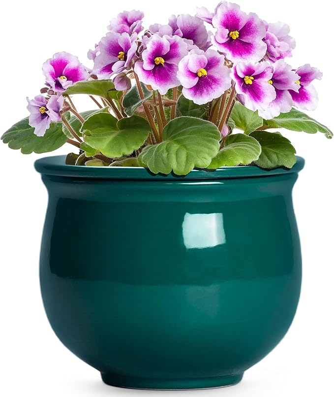6 Inch Self Watering Plant Pots, Ceramic African Violet Pot with Absorbent Inner Pot, Easy Self Watering Pots for Indoor Plants, Ceramic Planter, Room Decor, Plant Lover Gifts, Blackish Green Teagas