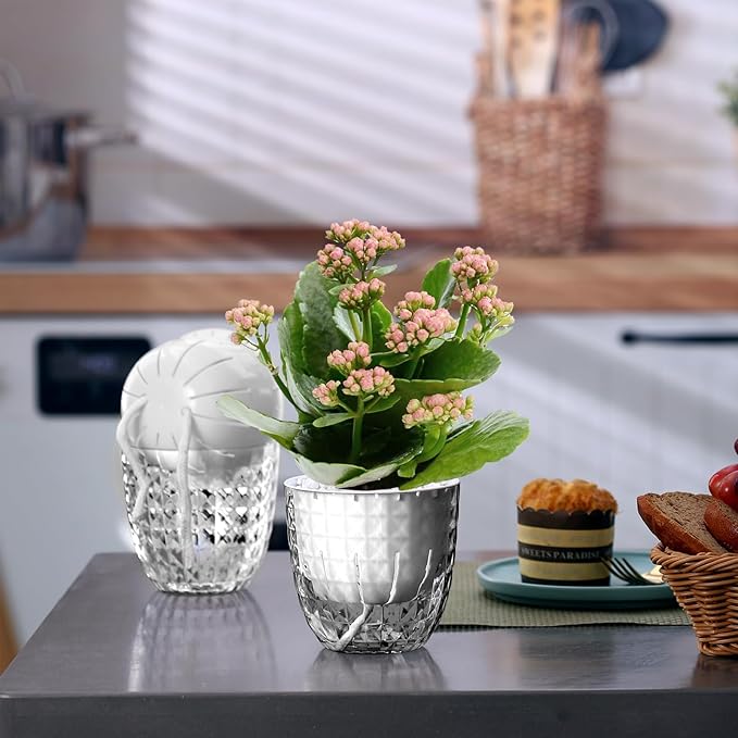 Self Watering Pots for Indoor Plants, Flower Pots, Self Watering Plant Pot-6pcs 4inch Clear Etvski