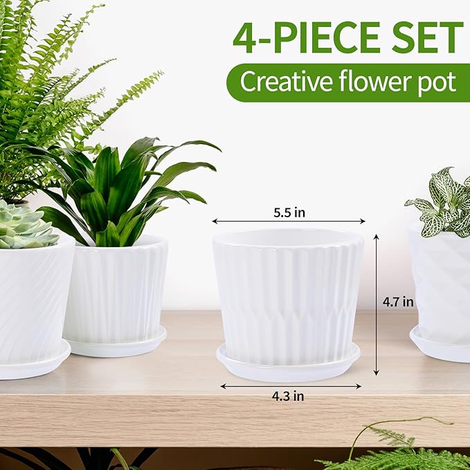 Plant Pots - 5.5 Inch Cylinder Ceramic Planters with Connected Saucer, Pots for Succuelnt and Little Snake Plants, Set of 4, White sietpoek