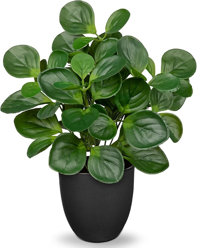 14.5" Artificial Plants Indoor Home Decor, Fake Potted Silk Plants for Shelves Living Room Decorative, Small Artificial Office Desk Plants in Pots, Faux Peperomia Hope Tropical House Plant VillaComo