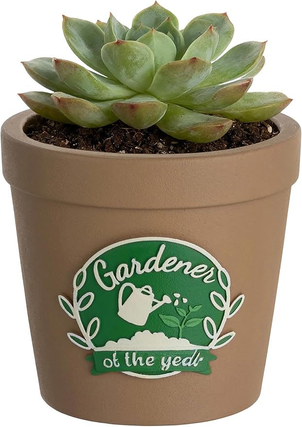 Gardening Gifts for Women: Hand-Painted 3D Art Cute Succulents Planter - Funny Garden Gifts for Plant Lovers Gardeners Mom Grandma - Cool Plant Pot Present for Christmas Birthday Mother's Day Rootora