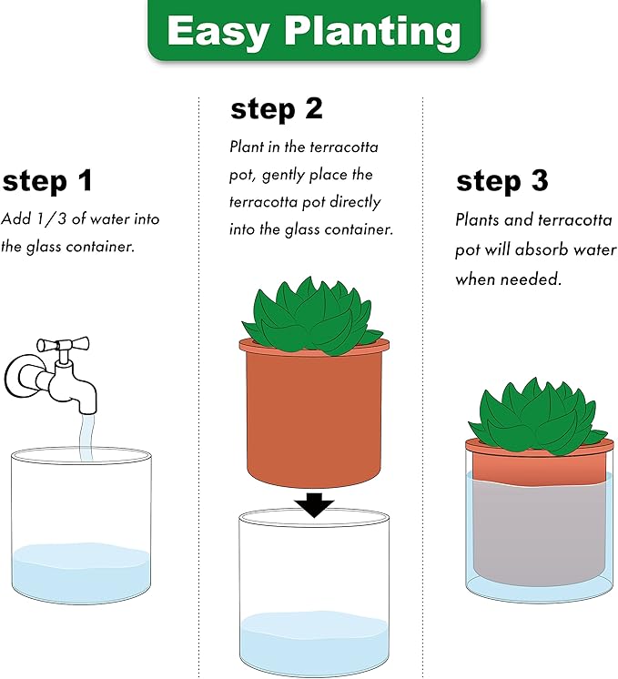 Phoenix Vine 4 Inch 6 Inch Self Watering Plants Pots, Design Terracotta Pots for Plants, Indoor Cylinder Terra Cotta Planter with Glass Vase Set, 51-A-G-46 Phoenix+Vine