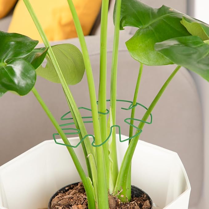 10PCS Iron Monstera Plant Support, Uniquely Designed Indoor Plant Accessories, Stable Plant Support Stakes for Indoor Plant, Turtle Shell Bamboo Clamp Set for Thriving Growth Rootora