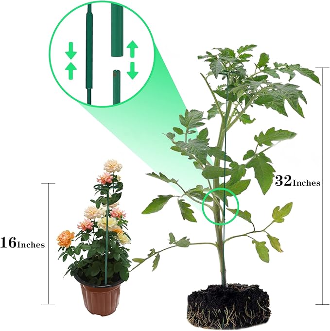 4 Pack Plant Stakes,Plant Support Stakes for Two Sizes(16 or 32 Inches),Plant Stakes for Outdoor Plants,Garden Flower,Tomato(Green) PFNRTH