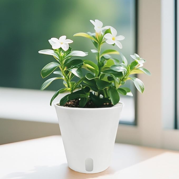 TCBWFY 4 Inch Self Watering Pots for Indoor Plants,8 Sets Self Watering Planter Pots with Visual Water Level Window and Multiple Vents,Self Watering Plant Pot for All House Plants,Flowers,Herbs TCBWFY