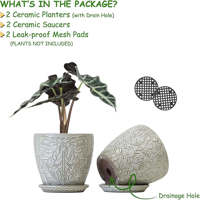 6 Inch Ceramic Planter Pots with Drainage Hole and Saucers for Indoor Plants, Garden Pots for Succulent, Orchid, and Flower - Set of 2 Bestseler