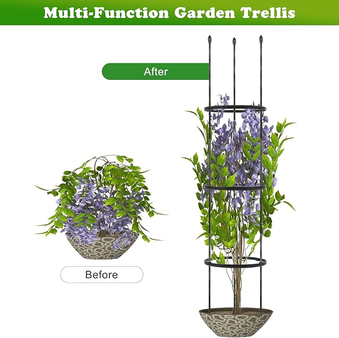2 Pack Garden Trellis, 2 in 1 Plant Cages & Supports for Vines Crop, Potted/Climbing Plants Indoor Outdoor, Plant Stake for Flower, Vegetable, Tomato, Pot Trellis XINGRUYU