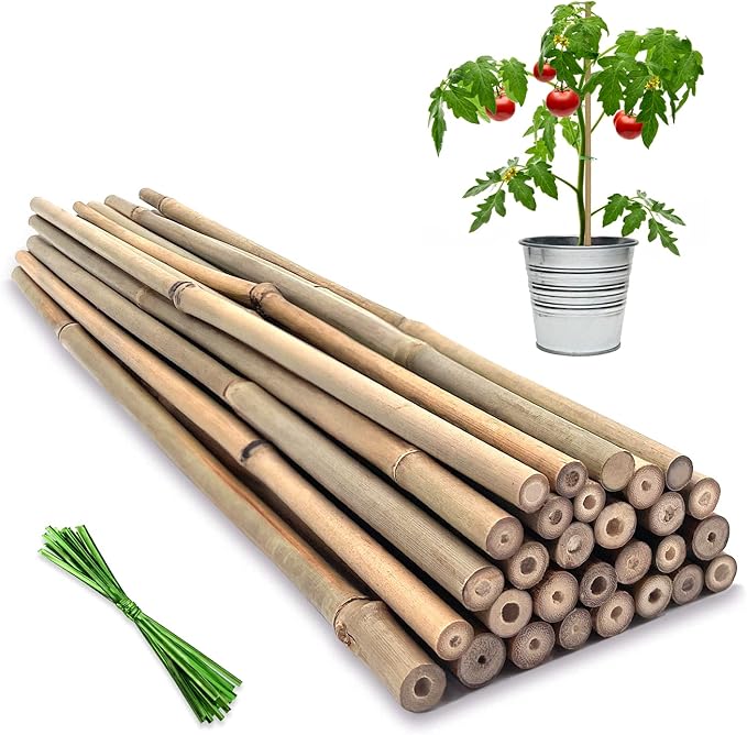 Plant Stakes,12 Inches Natural Garden Bamboo Sticks,BOVITRO 20Pcs Plant Support Stakes for Tomatoes,Beans,Vegetable and Potted Plants BOVITRO